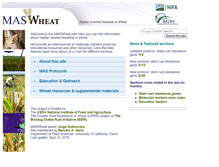 Tablet Screenshot of maswheat.ucdavis.edu