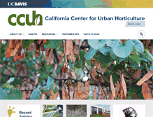 Tablet Screenshot of ccuh.ucdavis.edu