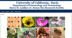 Desktop Screenshot of beebiology.ucdavis.edu