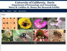 Tablet Screenshot of beebiology.ucdavis.edu