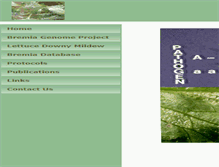 Tablet Screenshot of bremia.ucdavis.edu